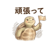 845023948