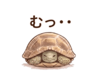 845023960