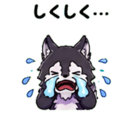 845025055