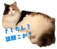 845025103
