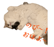 845025104