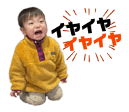 845025277