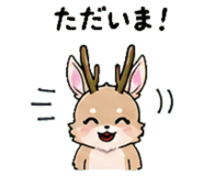 845025366