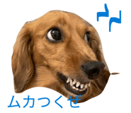 845025401