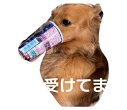 845025408