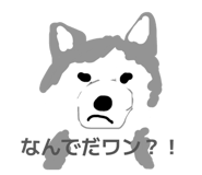 845025417