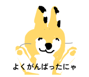 845025418