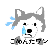 845025419