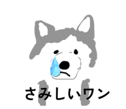 845025425