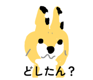 845025429
