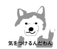 845025441