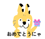 845025444