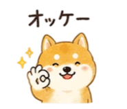845025561
