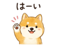 845025564