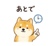 845025580