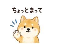 845025585