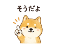 845025594