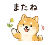 845025596