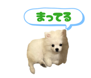 845025781