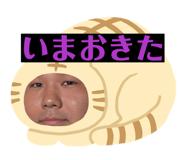 845025902