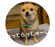 845025936