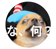 845025941