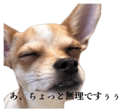 845026144