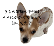 845026146