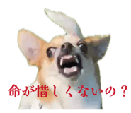 845026151