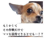 845026155