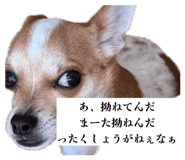 845026162