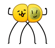845026258