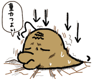 845026502