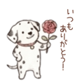 845027020
