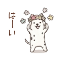 845027035