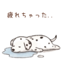845027040