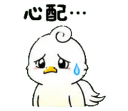 845027053