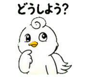 845027060