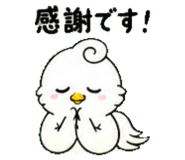 845027067