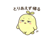 845027243