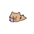 845027250