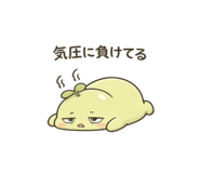845027277