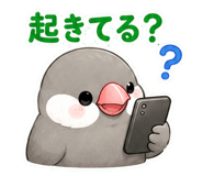 845027629