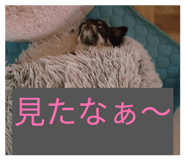 845029843