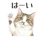 845030028