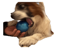 845030041