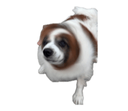 845030047