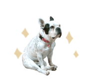 845030267