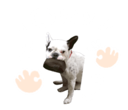 845030276