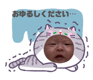 845030495